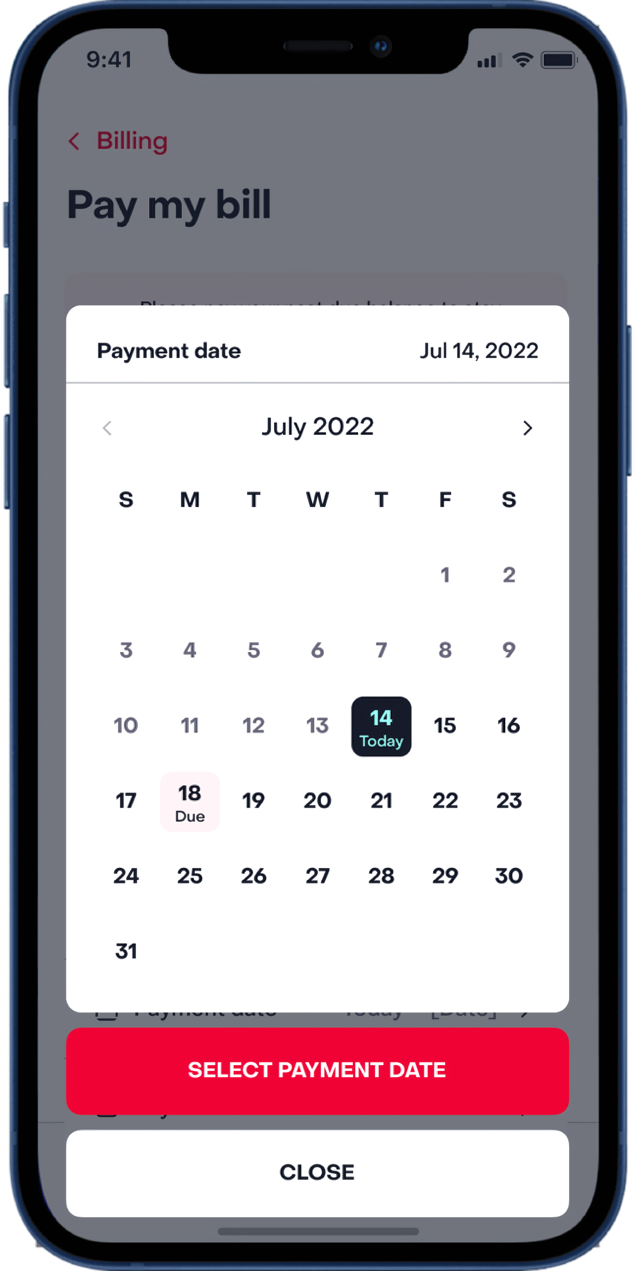 Payment date